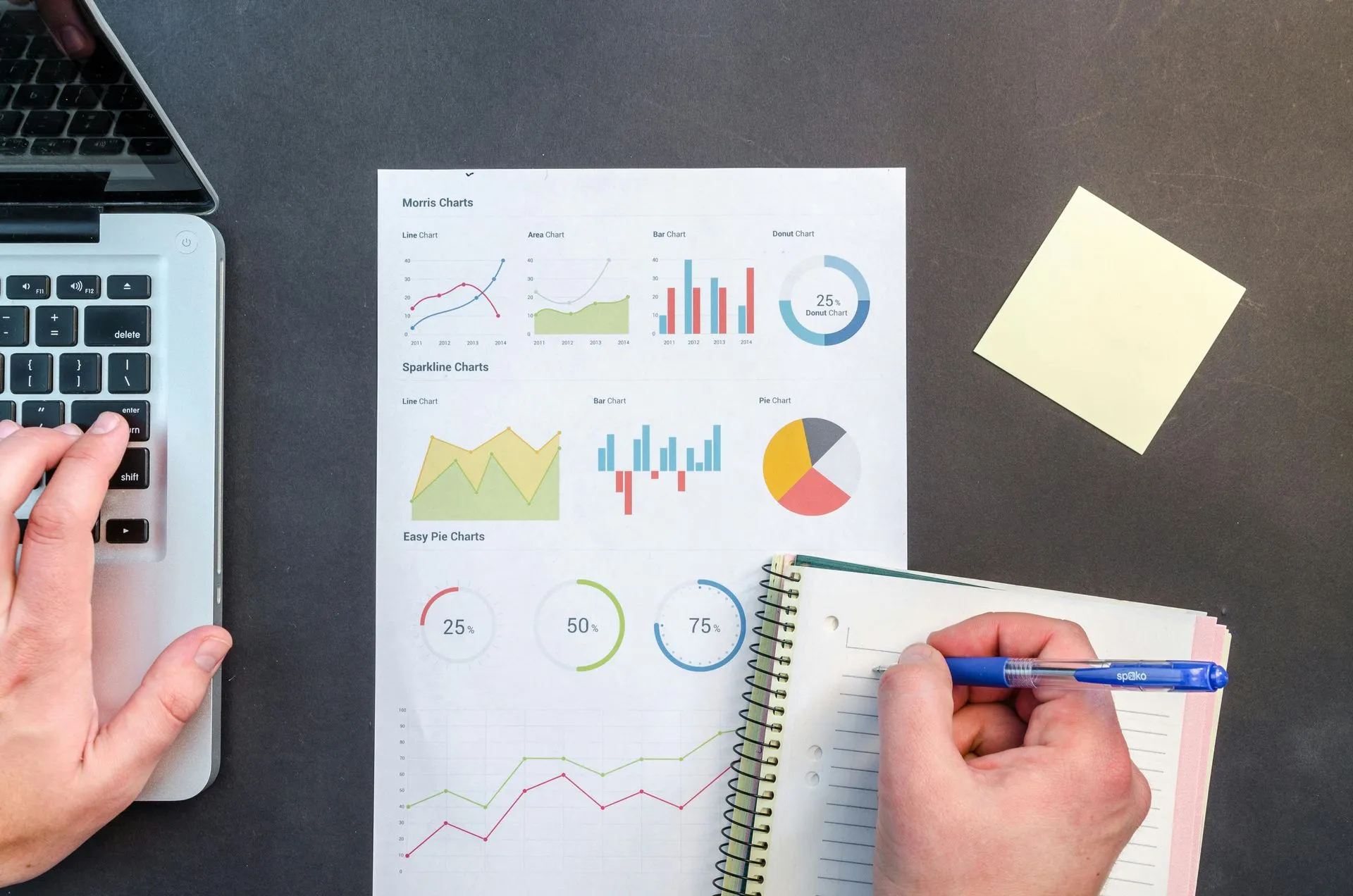 Optimisations SEO